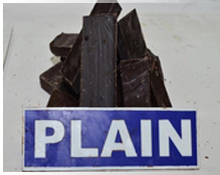 plain