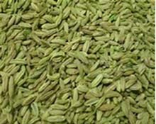 FENNEL