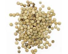 WHITE PEPER